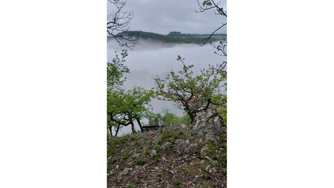 Als schönstes Foto mit dem Rad auf dem Weg zur Arbeit wurde ein nebliger Morgen an der Burg Hohenstein gekürt.