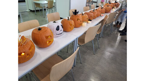 Zahlreiche, in unterschiedlicher Form geschnitzte Kürbisse, stehen auf einem langen Tisch nebeneinander.